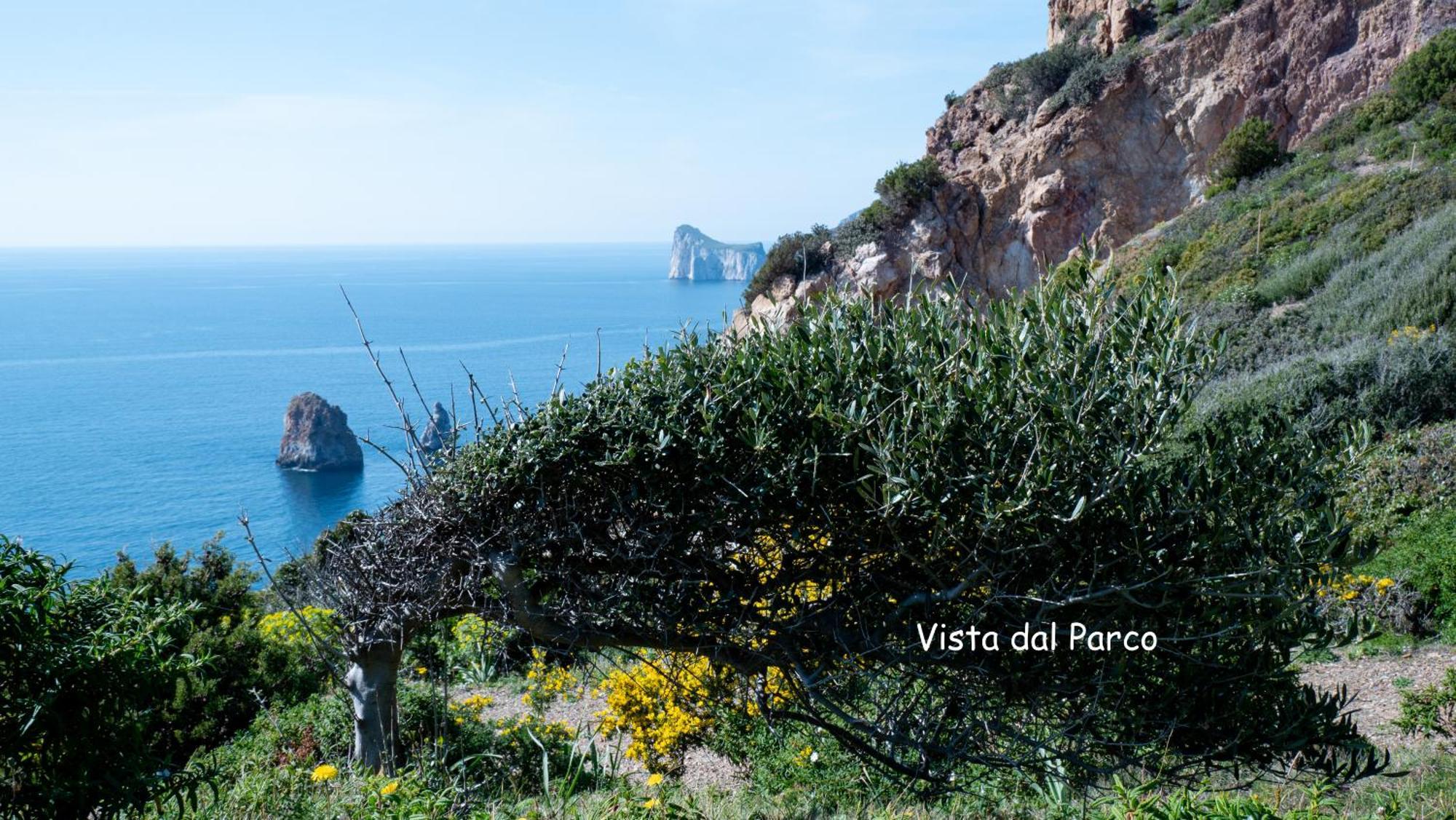NebidaIl Sogno Tanca Piras别墅 外观 照片