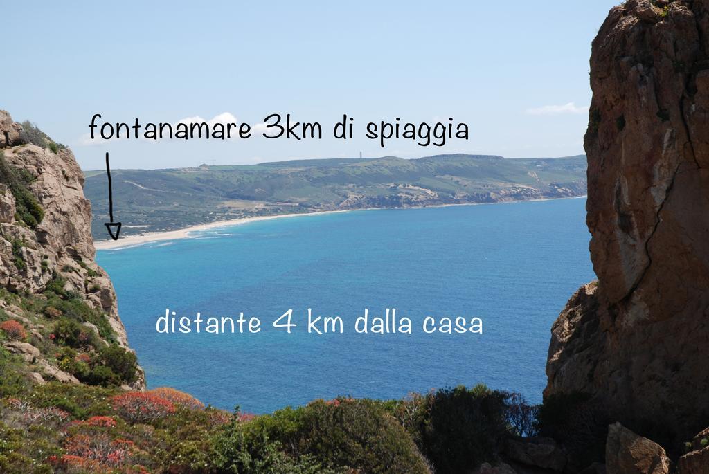 NebidaIl Sogno Tanca Piras别墅 外观 照片